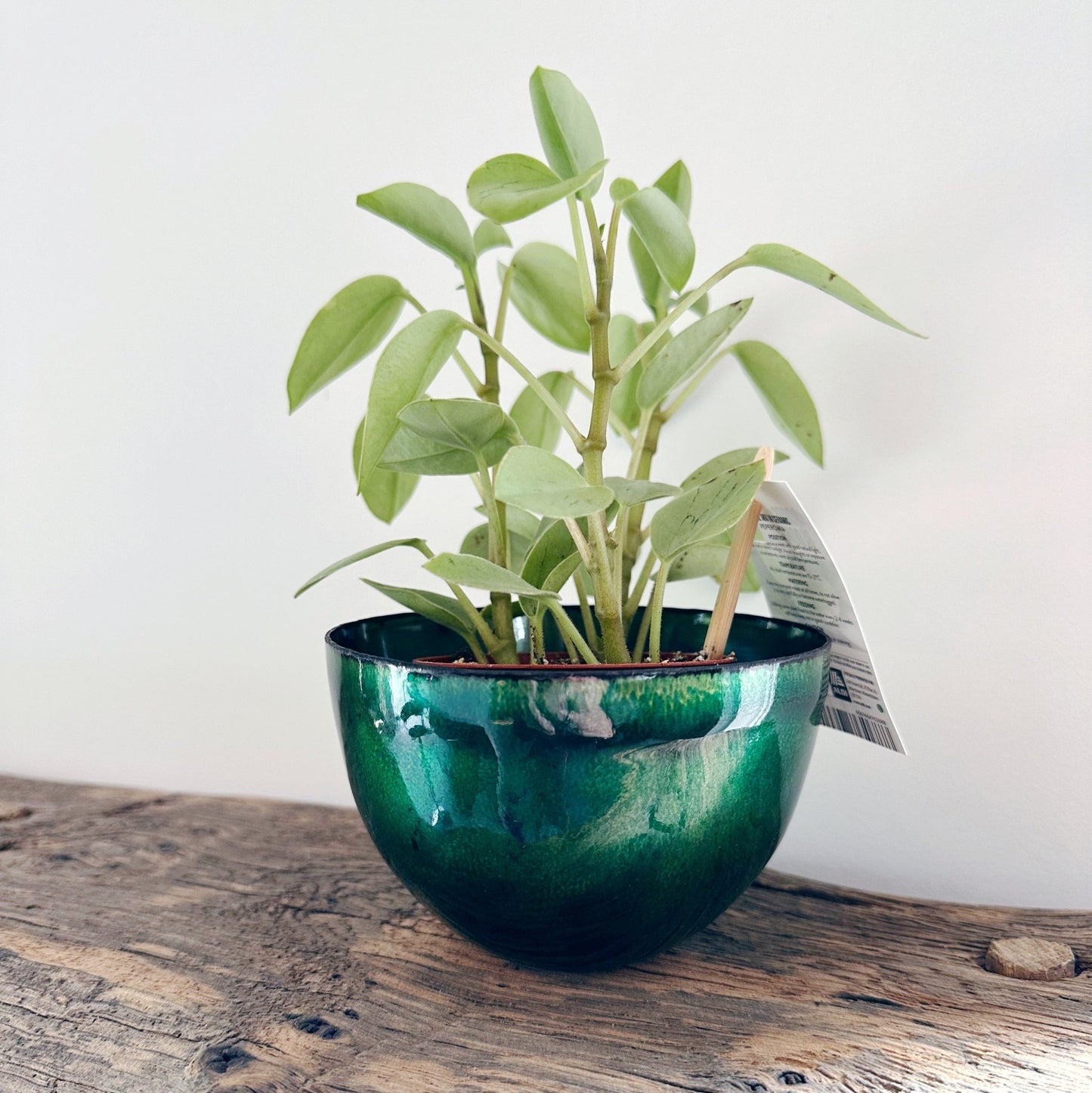 Large Emerald Green Enamel Bowl - MaisyPlum